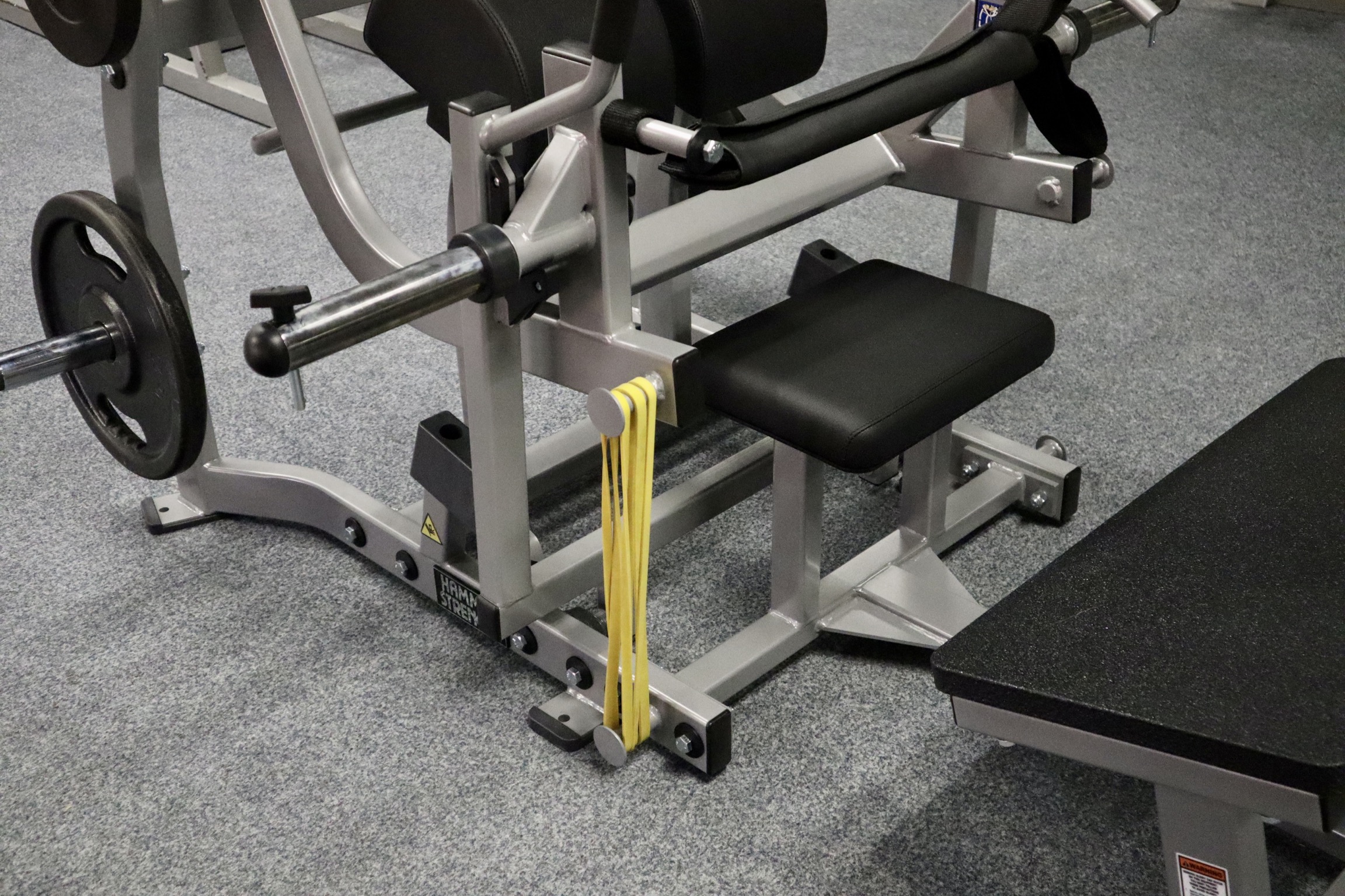 GluteDrive 2